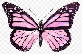 Pink Holographic Butterfly Design Element Premium Image By Rawpixel Com Nunny Butterfly Art Pink Butterfly Butterfly Printable