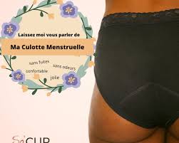 Ils/elles pourront échanger les foliz obtenus contre de la lingerie, des sextoys, du matériel photo/vidéo et seront bien plus motivé(e)s pour contribuer encore plus sur 2folie. Ma Culotte Menstruelle Le Zero Dechet Facile