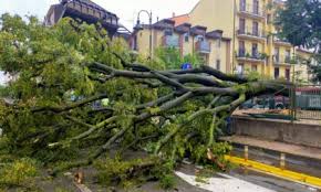 Maltempo, violenta tromba d'aria in veneto: . Gpzjmclnp0e Rm