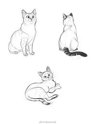 Cat Sketches In 2021 Cat Sketch Cat Drawing Animal Sketches