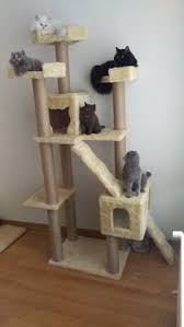 Kedi Tirmalama Ve Oyun Evi 0507 664 22 22 Icin 46 Fikir Kedi Oyun Evleri Evler