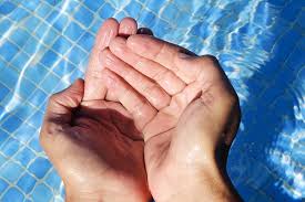 Shrivelled meaning in english, shrivelled definitions, synonyms of shrivelled, definition of shrivelled, shrivelled translate in english. Why Do We Have Wrinkly Fingers After Swimming Pitara Kids Network