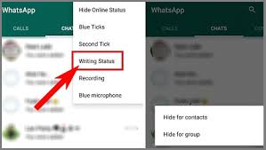 How to appear offline on whatsapp messenger? Hide Online In Whatsapp While Chatting Techniquehow