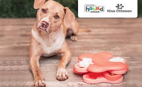 Just hide dog treats or kibble in the compartments of this nina ottosson dog puzzle games focus on challenging your dog's brain. Pet Supplies Outward Hound Nina Ottosson Puppy Smart Blue Interactive Treat Puzzle Dog Toy Amazon Com