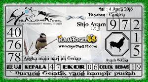Pin Oleh Ling Ling Di Prediksi Togel Terpercaya Canada Ayam Betina Singapura