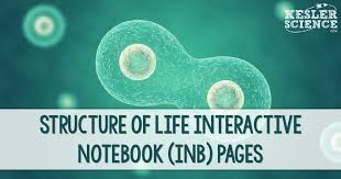 Linear equations flipbook study guide digital and print link in bio. Structure Of Life Interactive Notebook Inb Pages Kesler Science