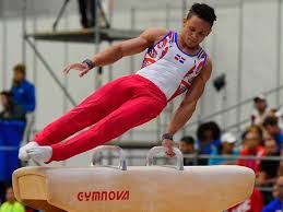 El club de gimnasia y esgrima la plata fue fundado el 3 de junio de 1887 en la ciudad de la plata. Gimnasia Artistica Masculina Fedogim