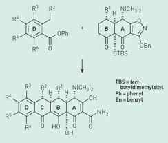 Image result for Tetracyclines