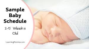 Any in between bath cleanings? Newborn Schedule Sample 2 5 Week Old Baby Sleep Routine