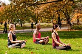 Yoga teacher correspondence courses are useful for yoga understudies with past understanding. Questions About 200 To 240 Hour Yoga Teacher Correspondence Courses From Aura Wellness Center Yoga Teacher Training Blog