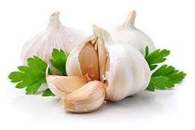 ระวังสักนิด… เมื่อคิดบริโภคสมุนไพร”