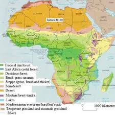 World's second largest rain forest. 1 Map Of Africa Showing Different Ecosystems Download Scientific Diagram