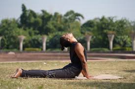 Cobra Pose (Bhujangasana) - Free Image by Sukh Photography on PixaHive.com
