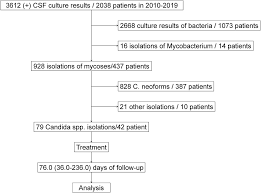 Image result for CSF Culture