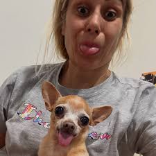 Dizem que o cachorro é a cara do dono Quem acha a Pituca parecida com A  @amandacris.oficial 🙄🤣 A JUDITH parece a @mayaraneves.oficial E a TETÊ  ainda não sabemos Quem é o