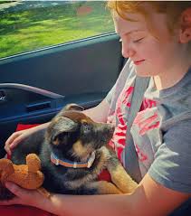 Cuteness overload 😍 Photos taken this morning.