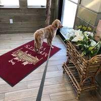 We did not find results for: My Pets Vet 2 Tips