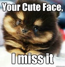 Your Cute Face I Miss It Brainlessly Cute Quickmeme