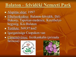 A sütik teszik lehetővé például a bevásárlókosár használatát és webhelyeink működésének személyre szabását, emellett adatokkal szolgálnak arról, hogy a webhelyek mely részét. Bukki Nemzeti Park Es A Balaton Felvideki Nemzeti Park Ppt Letolteni