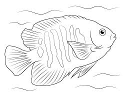 Focus, meditate and enjoy your own artwork then hang it as a wall art. Flame Angelfish Coloring Page Free Printable Coloring Pages For Kids