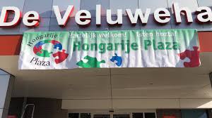 Bij vrbo kunnen zowel families, groepen en stelletjes terecht voor een geweldige vakantiehuis. Hongarije Plaza Home Facebook