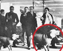 Aysen Cumhur Ozkaya Adli Kullanicinin Gazi Maresal Mustafa Kemal Ataturk The Creator Of The Turkish Republic Panosundaki Pin Fotograf Resim Tarih