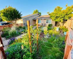 We did not find results for: Smart Yards Coop San Jose Based Ecological Landscaping Cooperative Specializing In California Native Plants