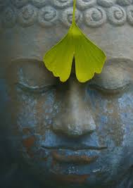 4th World Yoga & Natural therapies congress