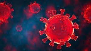 There are currently 51 cases of the new strain in the country, with maharashtra reporting the highest number at 22. Delta Plus Variant Is Less Contagious Than Delta Government Panel Said Less Than 1 Percent Cases India Hindi News à¤¡ à¤² à¤Ÿ à¤¸ à¤•à¤® à¤¸ à¤• à¤° à¤®à¤• à¤¹ à¤¡ à¤² à¤Ÿ à¤ª à¤²à¤¸ à¤µ à¤° à¤ à¤Ÿ à¤¸à¤°à¤• à¤° à¤ª à¤¨à¤² à¤¨