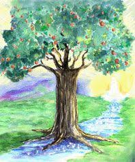 Tree Of Life New Church Tree Of Life Church