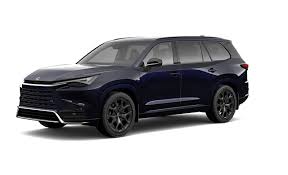 Image result for Incognito 2024 TX