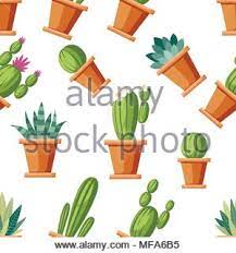 Esto también haría una gran pieza de decoración permanente en una guardería o habitación para niños! Patron Sin Costuras Decorativas De Flores Y Cactus Casa Cactus Y Plantas En Macetas Con Flores Una Gran Variedad De Articulos De Decoracion Floral Diseno De Estilo De Dibujos Animados V Imagen Vector De Stock Alamy