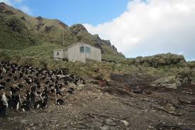 We did not find results for: This Week At Macquarie Island 4 December 2015 Australian Antarctic Program