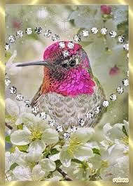 Resultado de imagen para imagenes con glitter y movimiento para grupos gabitos gatos