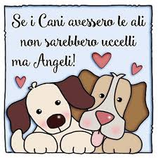 Quadretto Con Frase Cani Di L Angolo Delle Idee Mr Quadre An 11 Oggettistica L Angolo Delle Idee