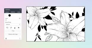 Upload an image to generate a color palette based on the image's primary colors. Make Your Own Adult Coloring Book Picmonkey