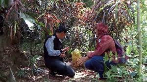 Hang tuah merupakan seseorang pahlawan dan tokoh legendaris melayu pada masa pemerintahan kesultanan malaka. Makam Laksamana Hang Tuah Di Bintan By Menix News