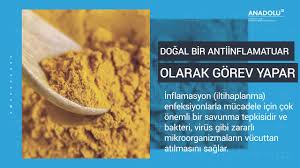 Koltuk Altindaki Her Kitle Kanser Midir Youtube