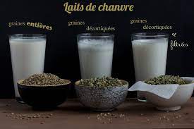 lait de chanvre 3 manieres de le faire how to make homemade hemp milk 3 ways lait de chanvre lait vegan chanvre