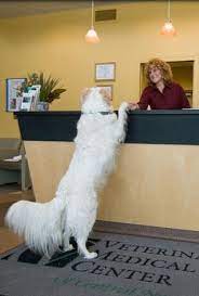 Contact a veterinary specialist from compassionate care veterinary hospital of manlius, ny today for diagnostics and advanced medical care for your cat or dog. Compassionate Care Veterinary Hospital Of Manlius Home Facebook