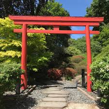 In diesem abschnitt entstand ein großer teich für kois mit einem im japanischen stil gestalteten umfeld. Der Japanischer Garten Kaiserslautern Hat Wieder Geoffnet Schaut Doch Mal Rein