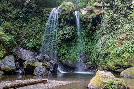 Demikian informasi perihal wisata air terjun jumog yang bisa kami berikan, semoga bermanfaat buat kamu yang mau dolan kesini , wisata ini sangat cocok buat kamu liburan bersama keluarga tercinta atau teman kamu selain berwisata ke sini kamu juga bisa berkunjung ke wisata lain sekitar. Panduan Lengkap Wisata Ke Air Terjun Grenjengan Kembar Magelang Halaman All Kompas Com
