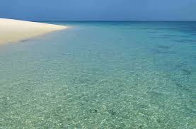 The Top 10 Beach Destinations In Tanzania