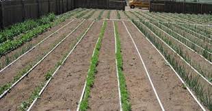 Designing A Basic Pvc Home Garden Drip Irrigation System Very Good Pdf On Layout Hole Size Spaci Garden Watering System Drip Irrigation Irrigation System