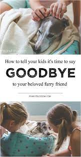 In animals, euthanasia is often called putting to sleep or putting down. why vets use euthanasia euthanasia in animals is intended to end life when a pet is suffering and there is little or no hope of recovery from illness or injury. Pin On 20 Must Follow Moms