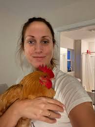 Free 4-month-old Buff Orpington Rooster in Jacksonville