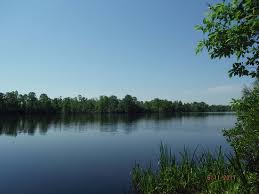 A 50 km de northwest river park. Northwest River At Boat Ramp Picture Of Northwest River Park Chesapeake Tripadvisor