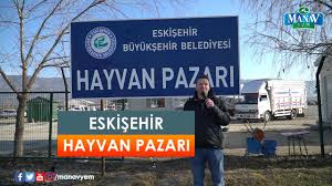 Hayvan Pazari Eskisehir Bolgenin En Uygun Hayvan Pazari Youtube