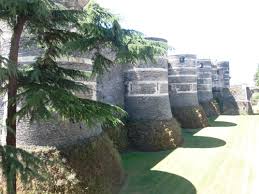 (alludes to a dog or cat raising the hair on its back in anger or as a threat.) she was just bristling with anger. Angers Travel Guide At Wikivoyage
