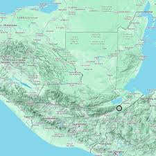 Image result for Hyparrhenia bracteata